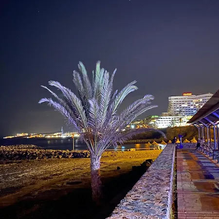Las Flores Studio 1 Playa de las Americas  Exterior photo